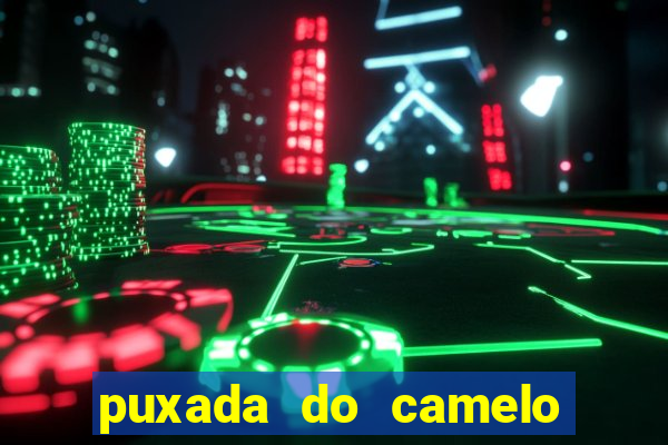 puxada do camelo no jogo do bicho